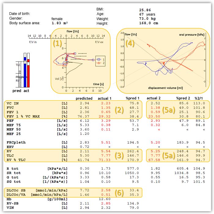 Normal Findings Interpretation Lungfunction Net - High Resolution Minimal Designs for Desktop