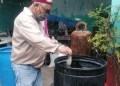 Pide IMSS Tamaulipas a población reforzar las medidas de prevención contra el dengue durante el invierno