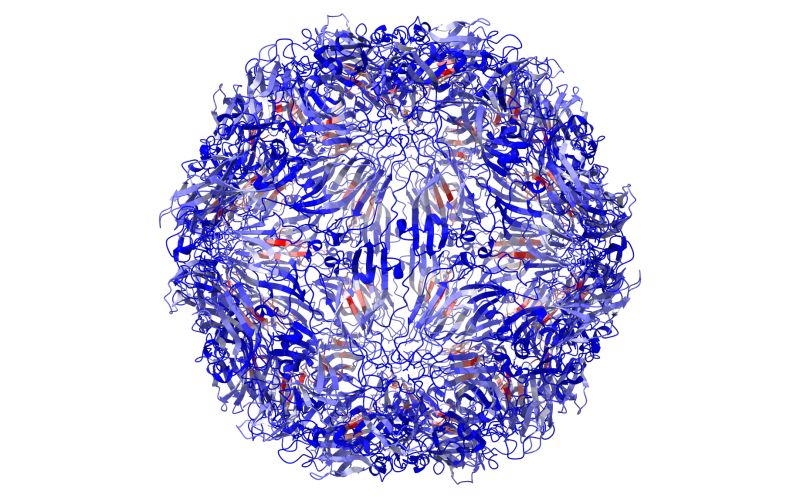 Tutorial Pycapsid Documentation - Premium Abstract Background Gallery - High Resolution