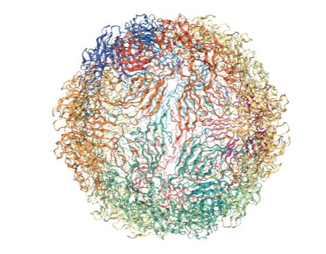 Tutorial Pycapsid Documentation - High Resolution Mountain Wallpapers for Desktop