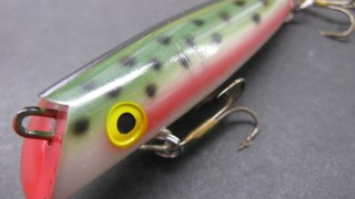 クリークチャブ ramblefish_rf-6-901