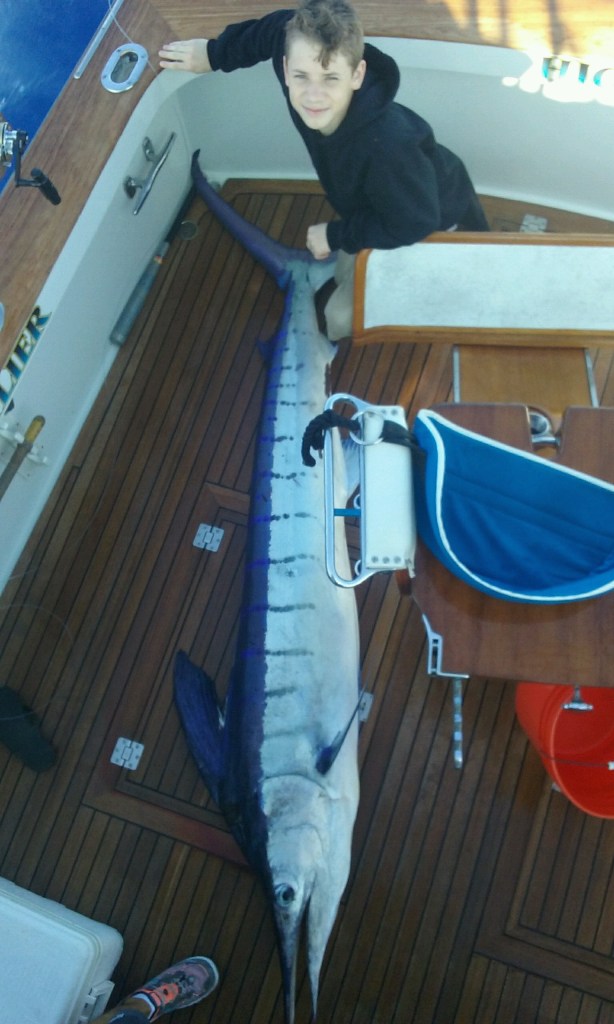Striped marlin, spearfish, ono, kahala highlight catches Jim Rizzuto