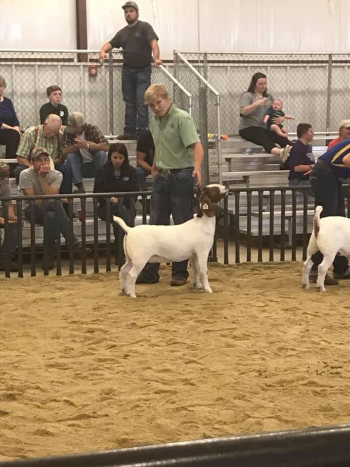 4H member Carson Wheeler at the Oklahoma County Livestock Show