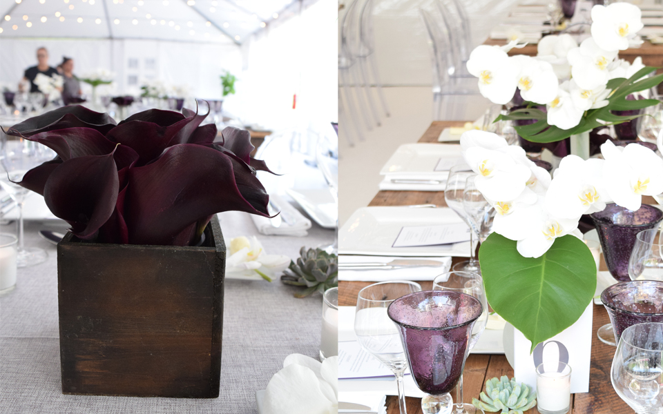 callas and table
