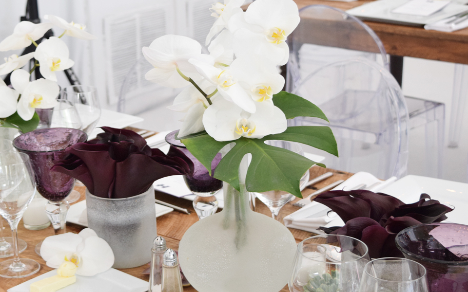 orchidscape two