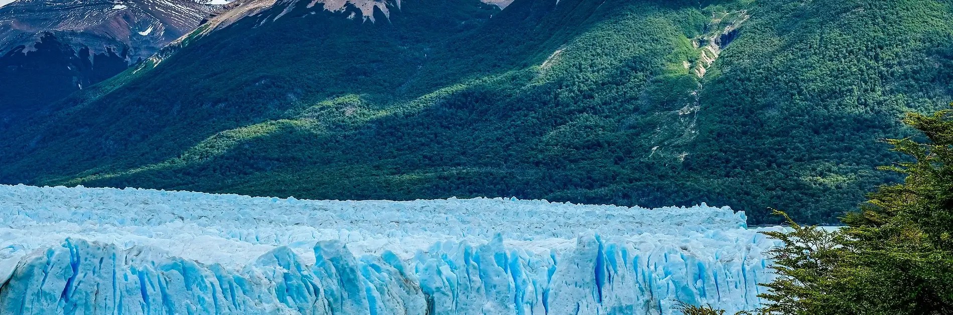 Argentina & Rio