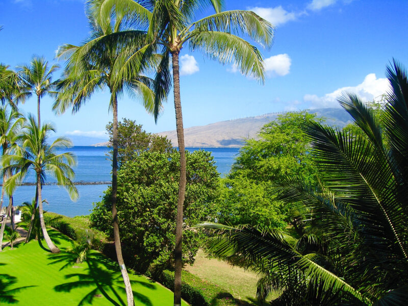 Hyatt residence club review