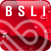 LWS Literary Services