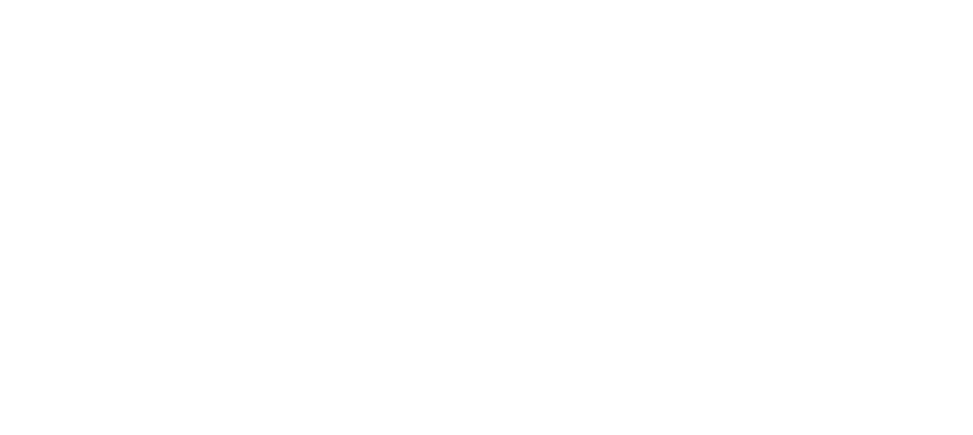 Wells Fargo