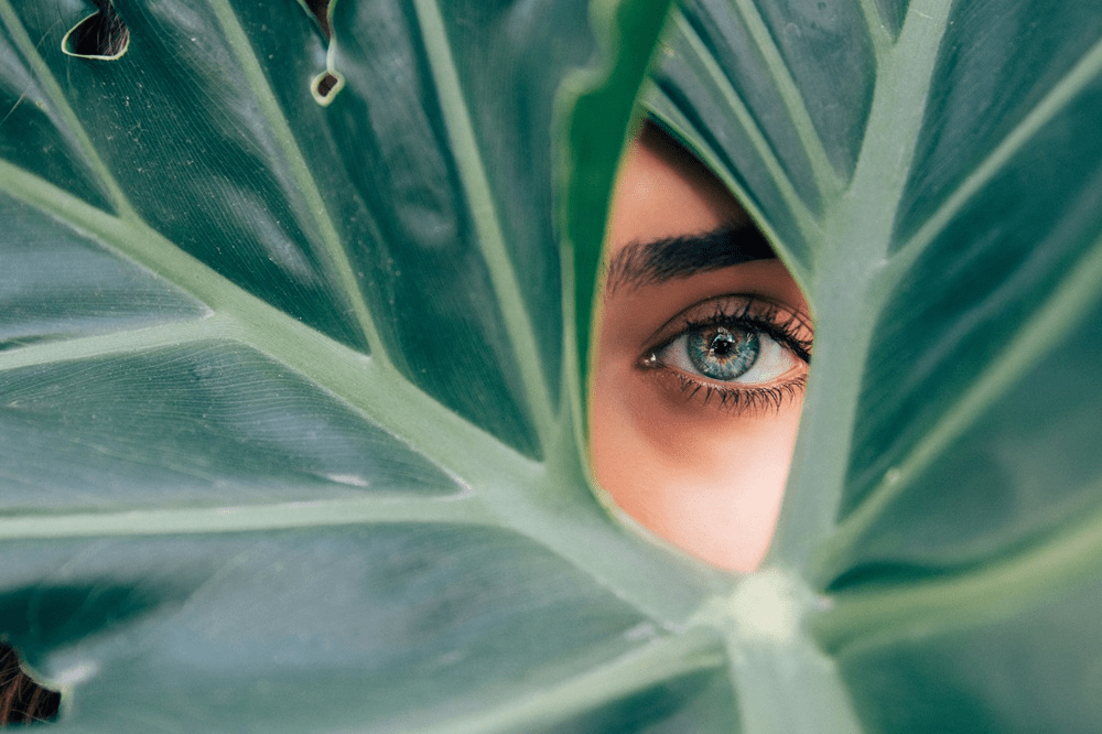 Was Eve's Desire to Control Adam?