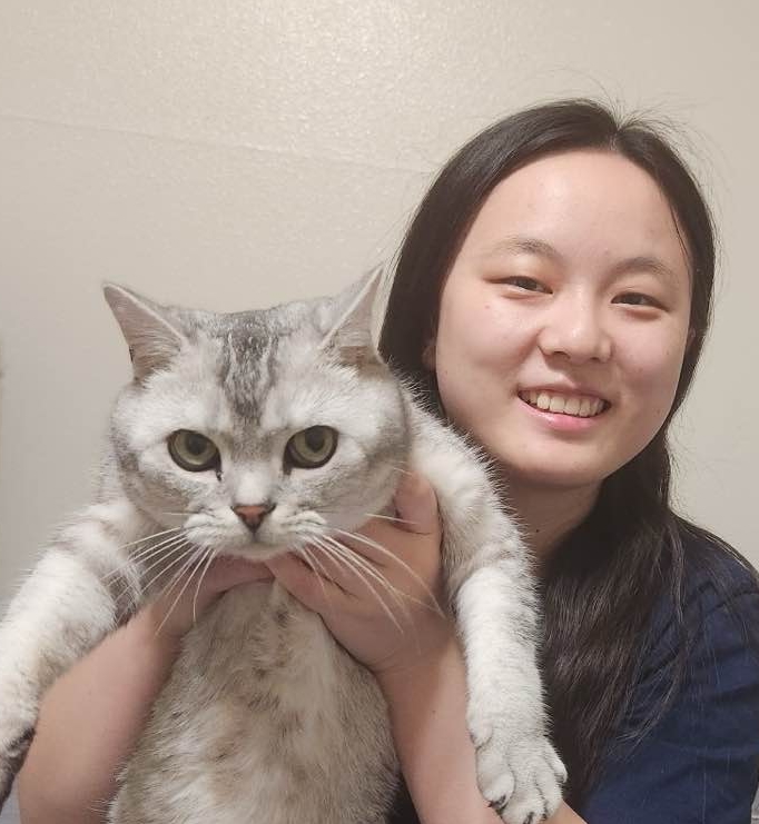 Liyukeee Yuke Li Github - Best Mountain Patterns in Ultra HD