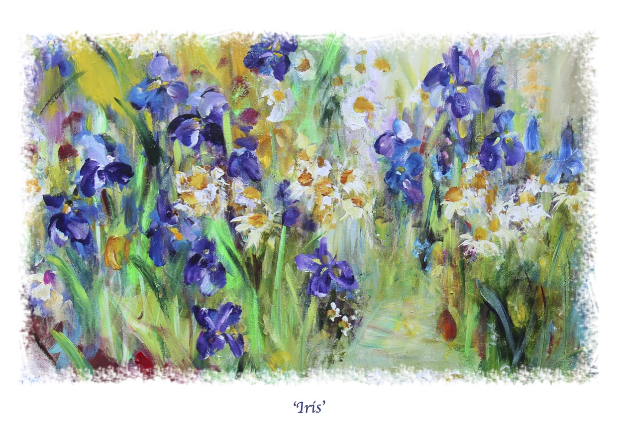 Iris