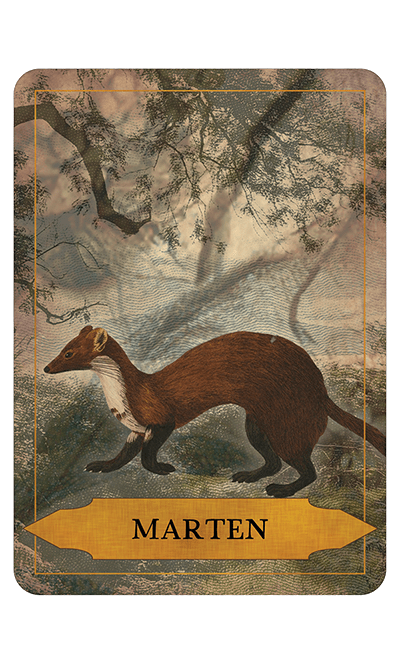 badger