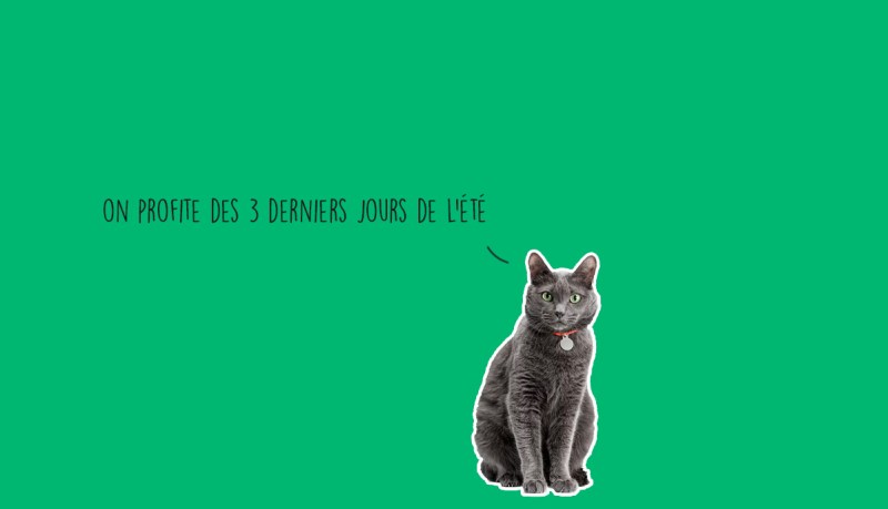que faire ce week-end evenements week-end lyon