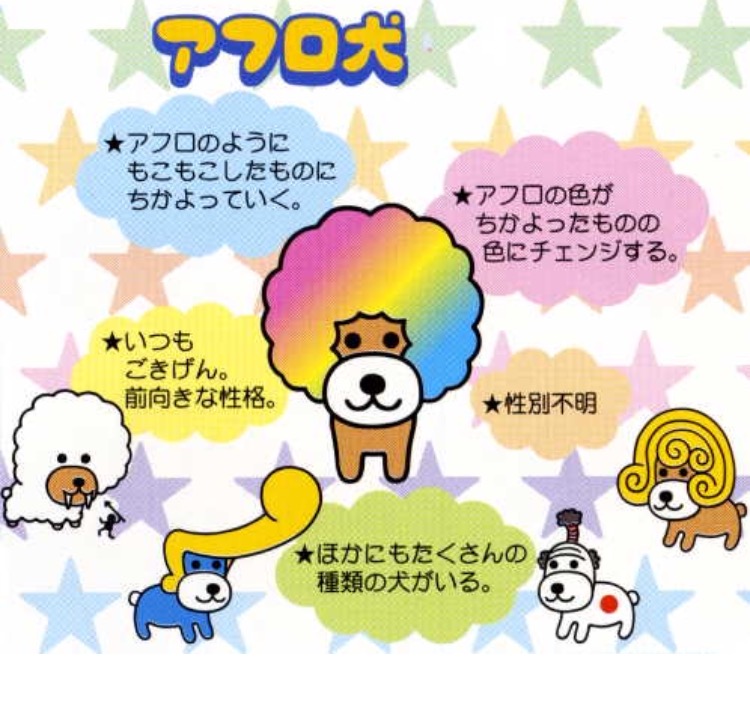 アフロ犬とは？ 今日の断捨離 その48 | Lyra Sky