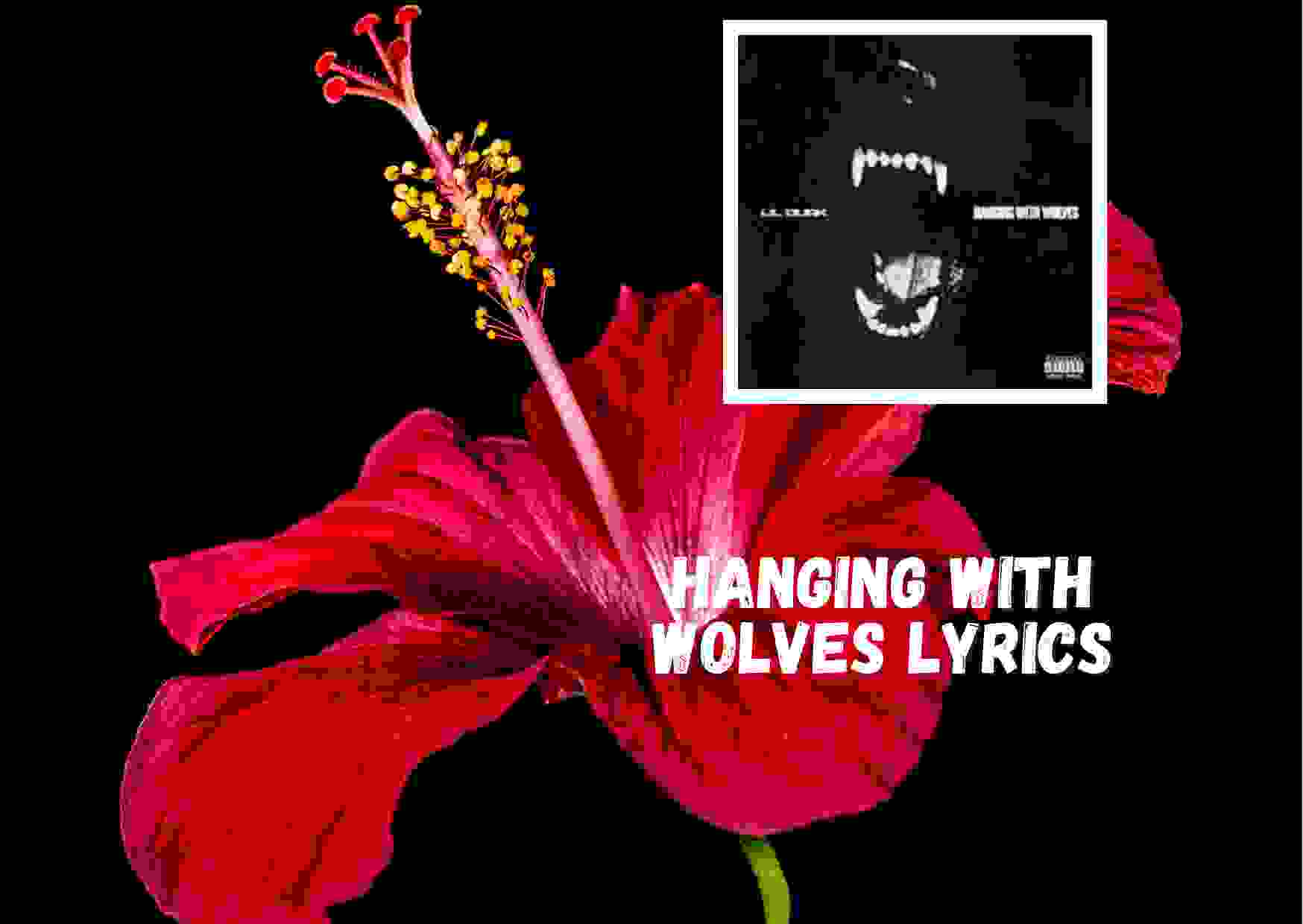 Hanging With Wolves lyrics by Lil Durk Lyricanotes