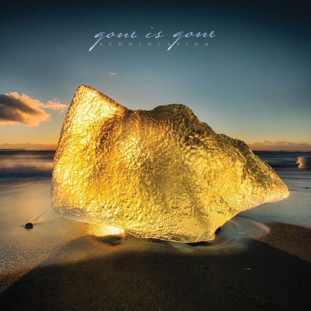 Gone is Gone - Echolocation Lyrics