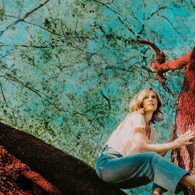 Tift Merritt - Proclamation Bones Lyrics