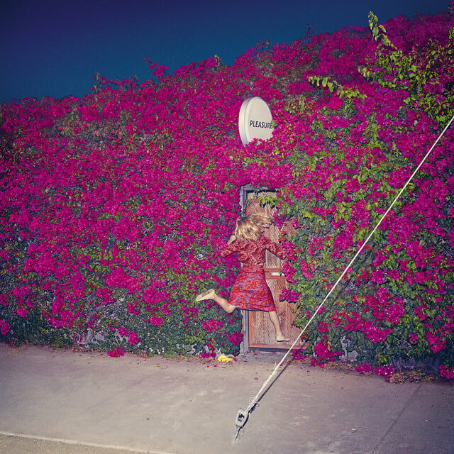Feist Pleasure cover art