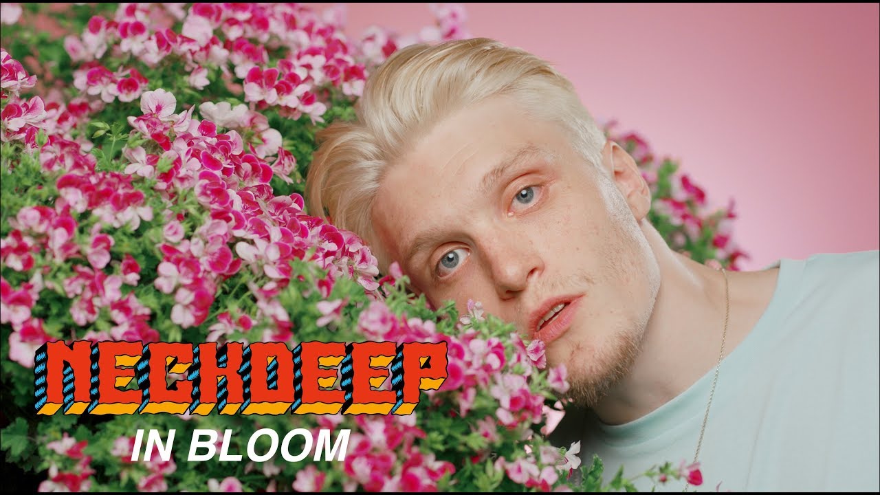 Neck Deep - In Bloom Lyrics