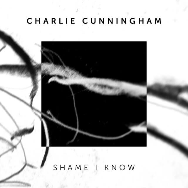 Charlie Cunningham - Shame I Know Lyrics