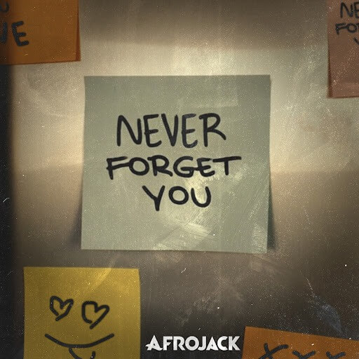 AFROJACK - Never Forget You Lyrics