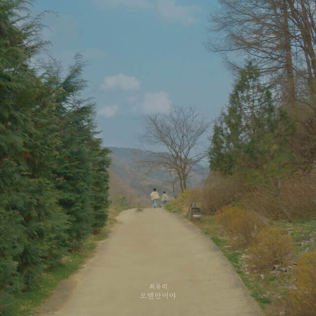 Choi Yu Ree - It’s Been A While Lyrics English Translation