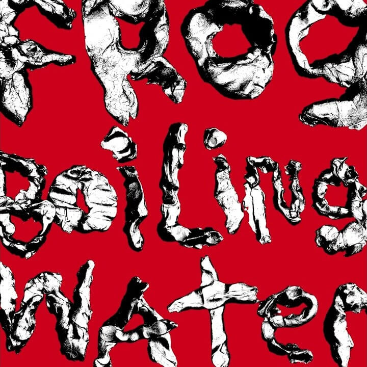 DIIV Raining On Your Pillow cover art