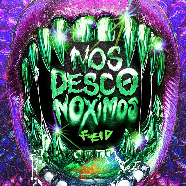 Feid - NOS DESCONOXIMOS Lyrics English Translation