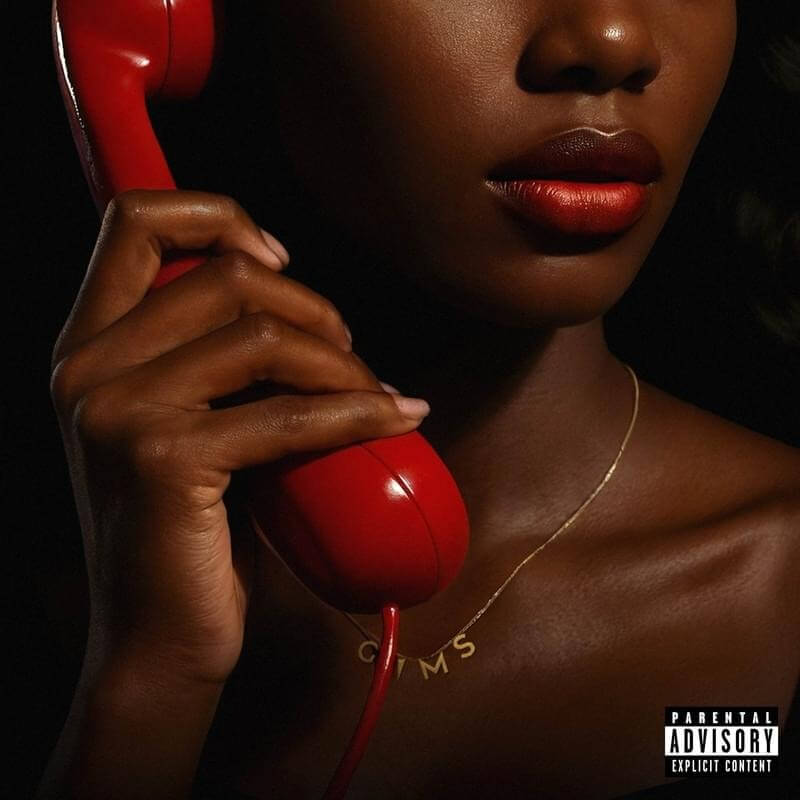 GIMS APPELLE TA COPINE cover art