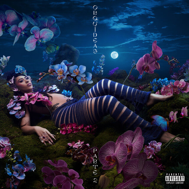 Kali Uchis - Simple Lyrics English Translation