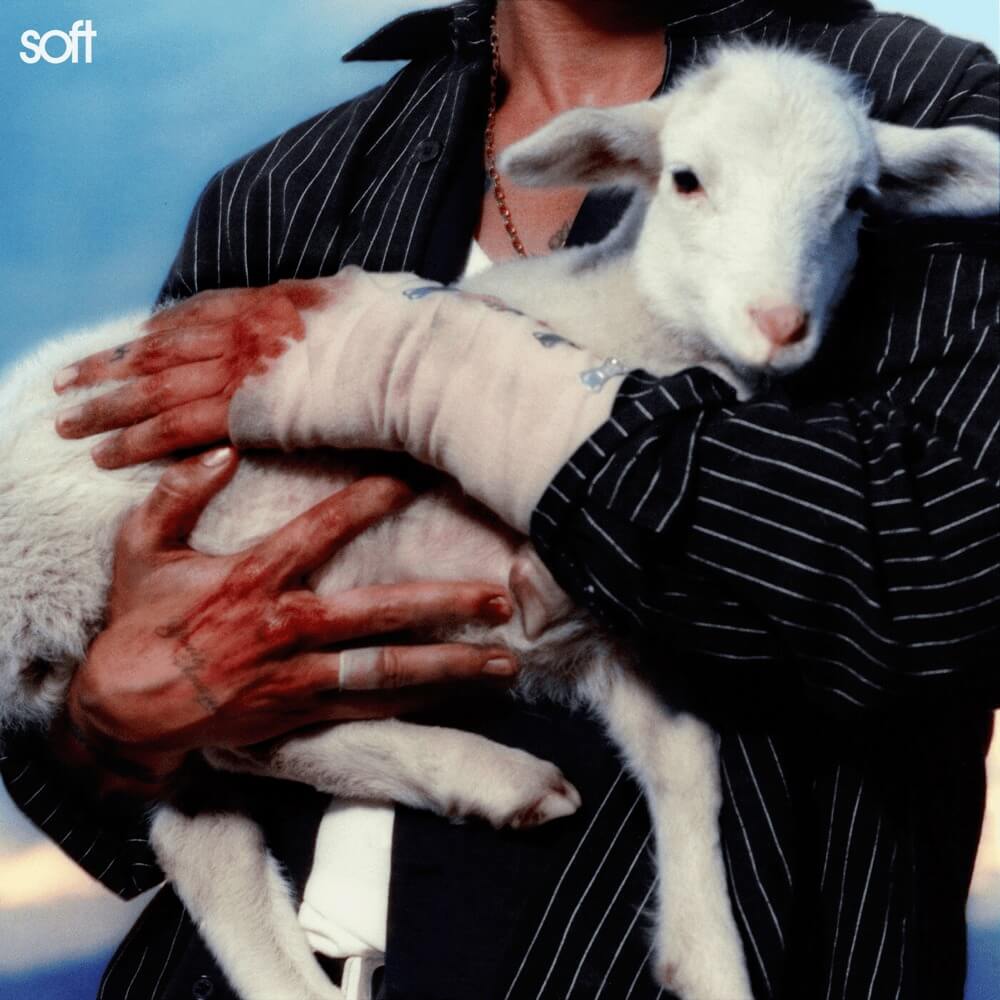 LANY Soft cover art