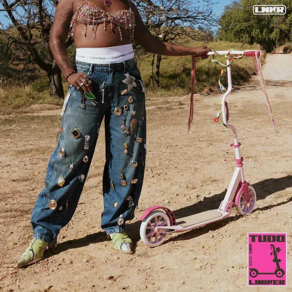Liniker Tudo cover art
