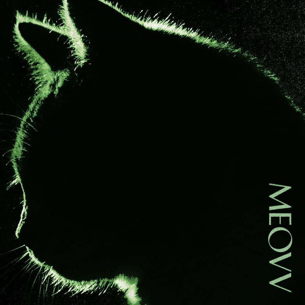 MEOVV - TOXIC Lyrics