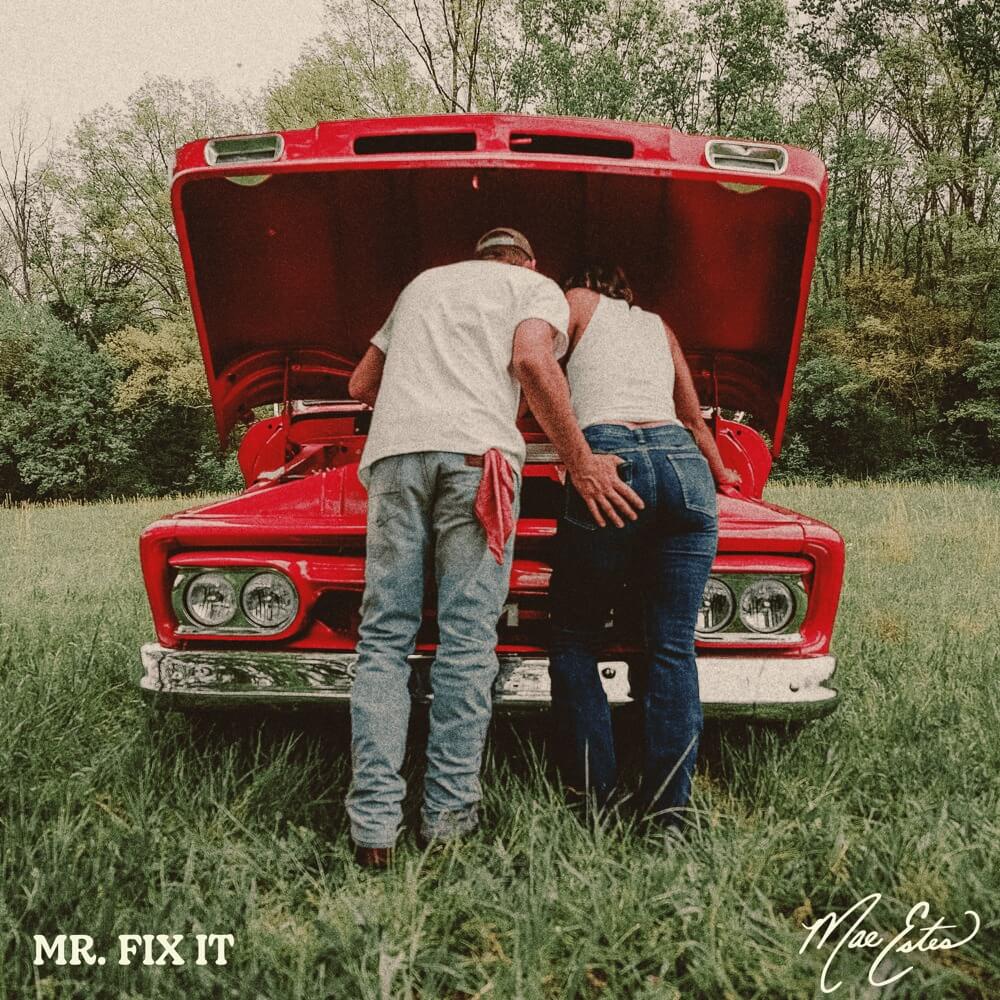 Mae Estes Mr. Fix It cover art