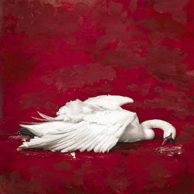 Murda SEVGİ cover art
