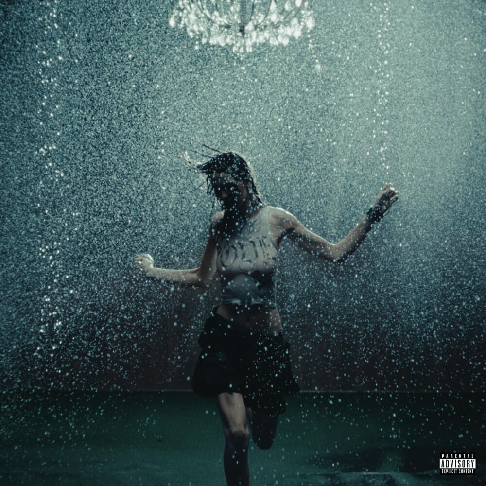 Nettspend - FCK SWAG Lyrics