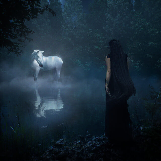 Noah Cyrus Man In The Field cover art