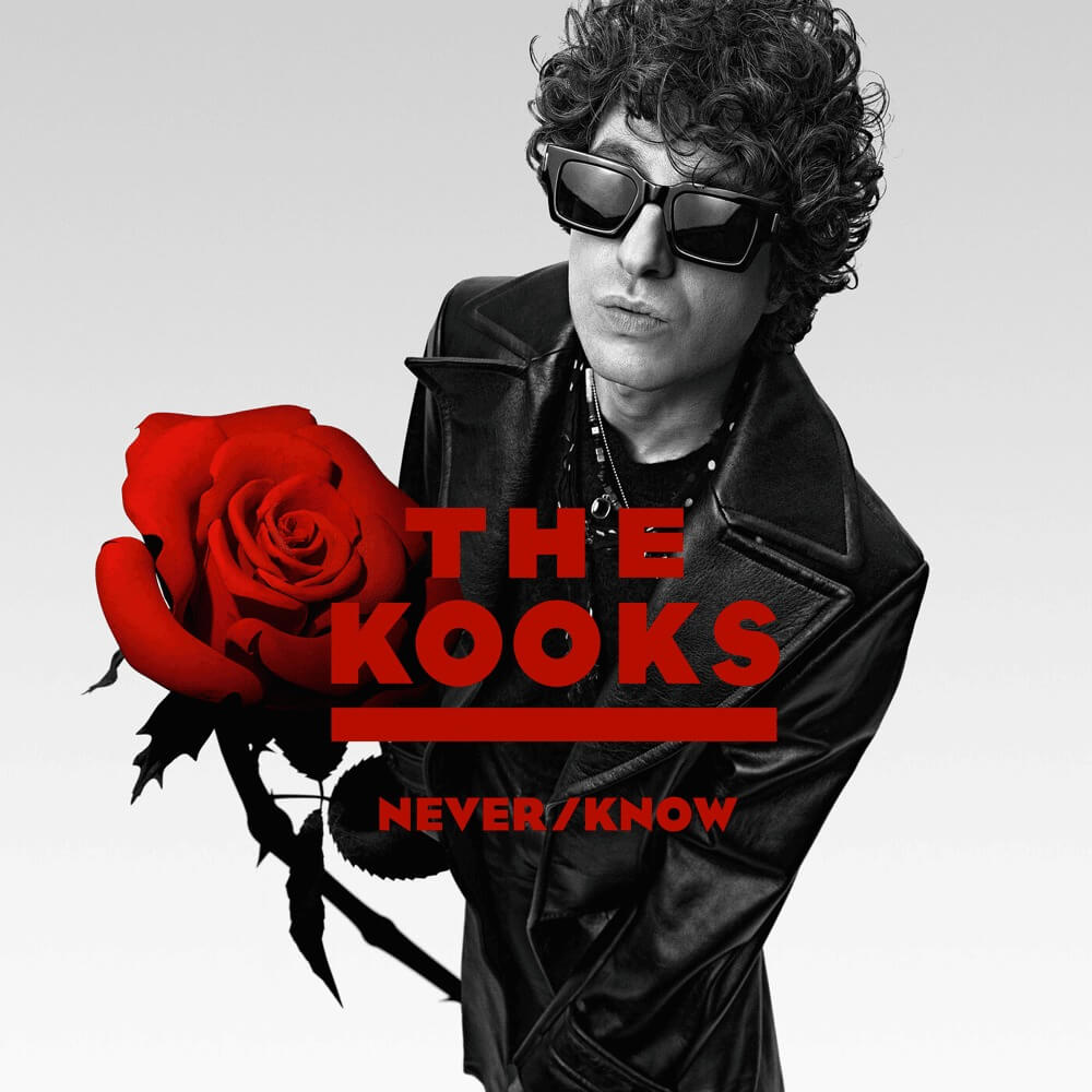The Kooks - Let You Go Lyrics