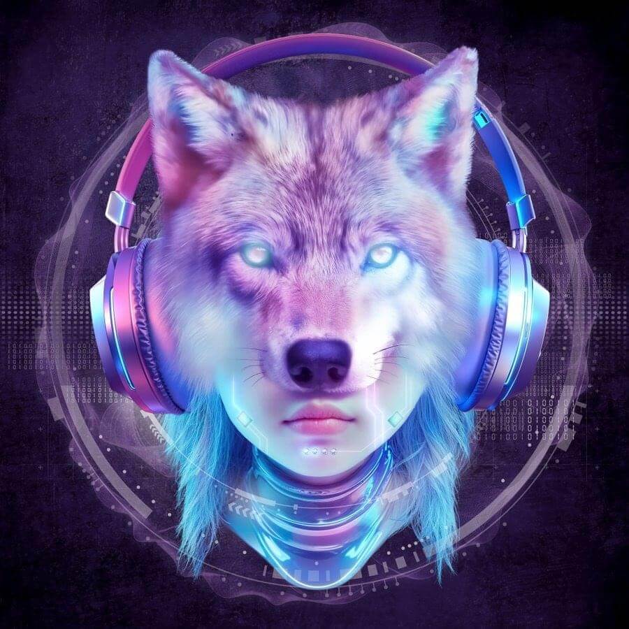 XG NEW DANCE x XDM cover art