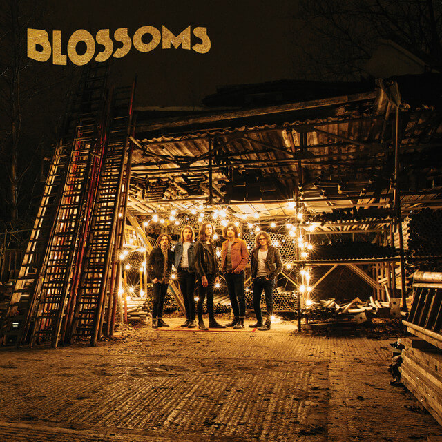 Blossoms Blown Rose cover art