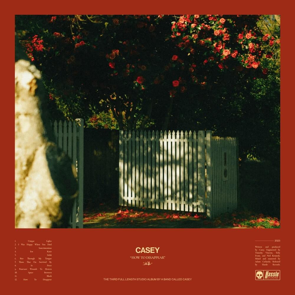 Casey Unique Lights cover art