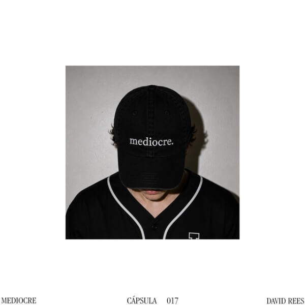 David Rees – Mediocre Lyrics