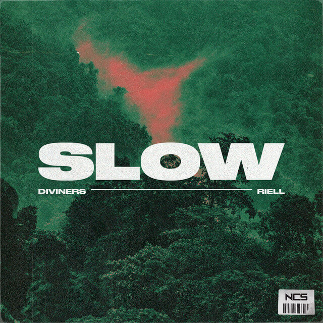 Diviners & RIELL - Slow Lyrics
