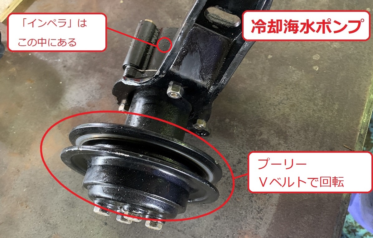 Amazon | MARKGOO 47-161541 ウォーターポンプインペラ Mercury