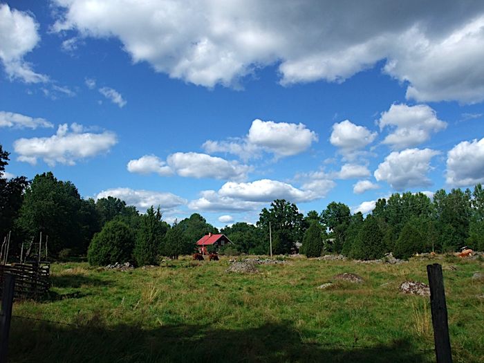 Schweden, Urlaub, Bullerbü, Astrid Lindgren, Pippi Langstrumpf