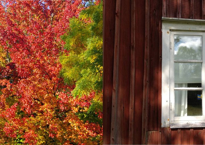Herbst, Herbstfarben, Herbstlaub