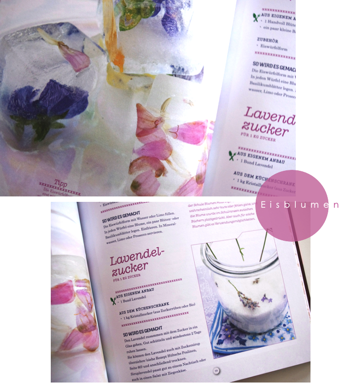 Selbst angebaut, Buch, Gartenbuch