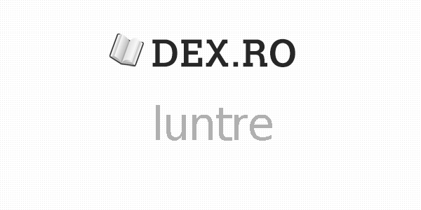 A se face (sau a se pune, a se așeza) luntre și punte = a încerca pe toate . Dex Luntre Luntre DefiniÅ£ie Luntre Dex Ro Mobile