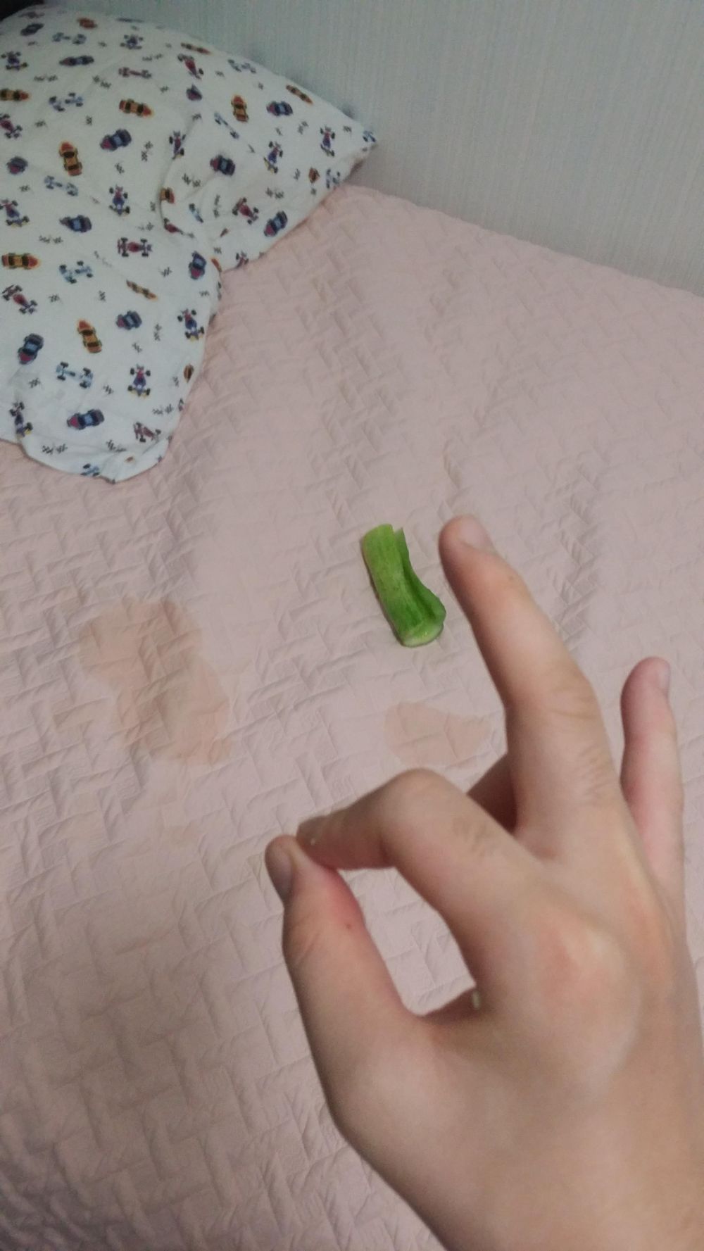 여동생과 오이 -2015년 8월 2번째 작품- | 짤방 | 일베저장소